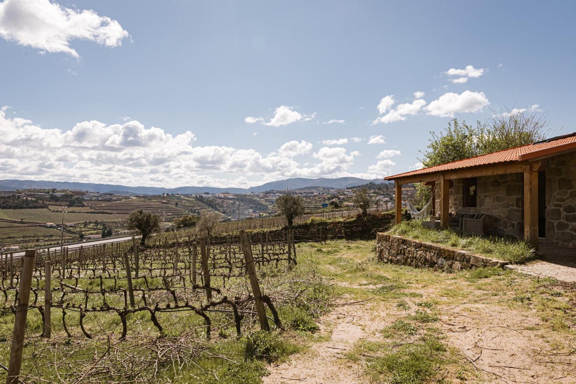 Quinta Da Portela - Casa Visconde Arneiros - By Met Lamego Exterior foto