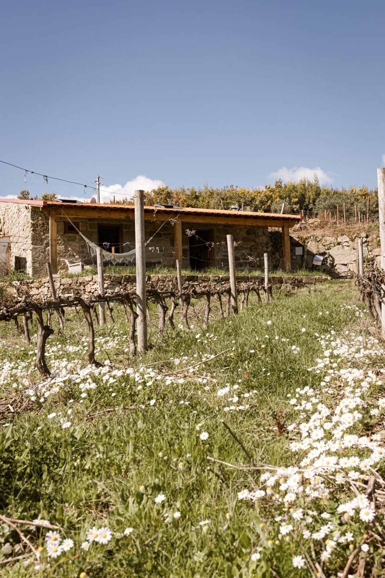 Quinta Da Portela - Casa Visconde Arneiros - By Met Lamego Exterior foto